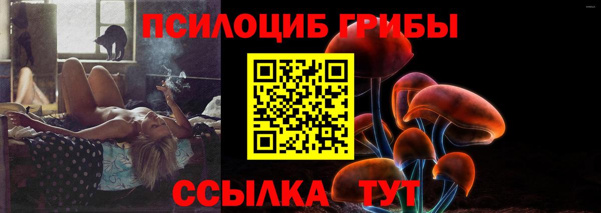 Псилоцибиновые грибы ЛСД Чистополь