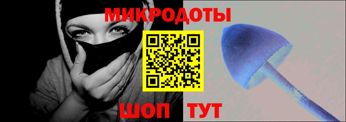 Галлюциногенные грибы Psilocybe  Вход с VPN  Чистополь 